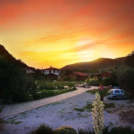 Hayitbuku Ahsapevleri *