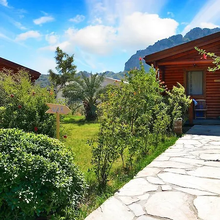 Hayitbuku Ahsapevleri בית הארחה