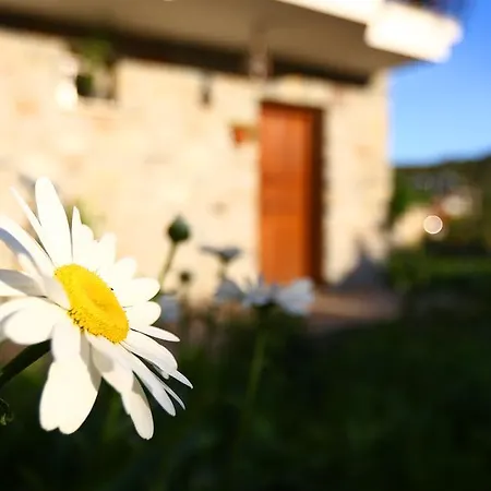 Hayitbuku Ahsapevleri בית הארחה *