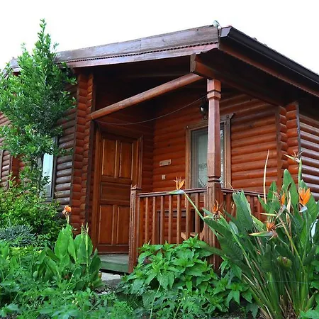 Hayitbuku Ahsapevleri *