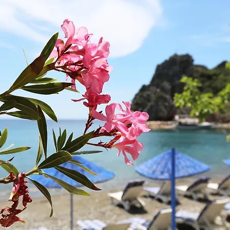 Hayitbuku Ahsapevleri בית הארחה Mesudiye (Datca)