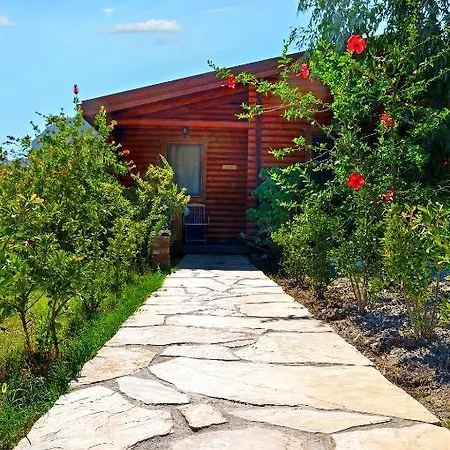 Hayitbuku Ahsapevleri בית הארחה