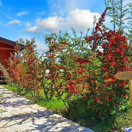 בית הארחה Hayitbuku Ahsapevleri