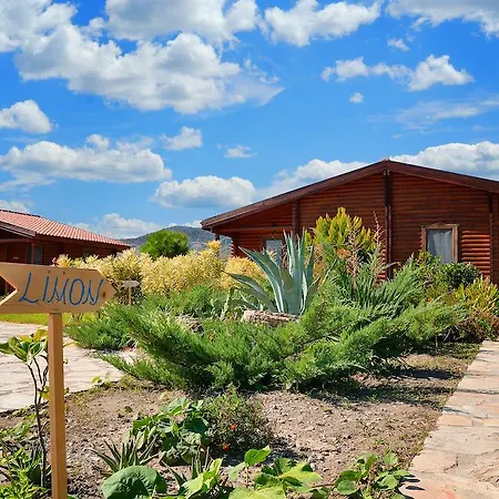 Pensjonat Hayitbuku Ahsapevleri *