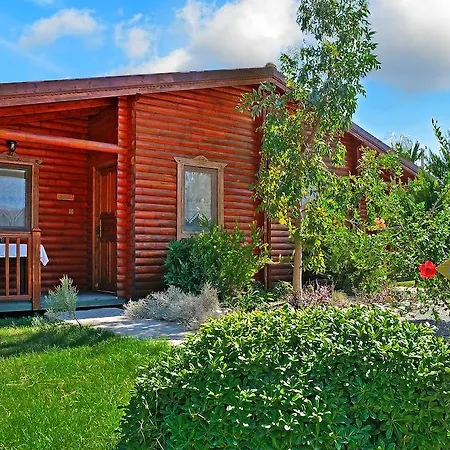 Hayitbuku Ahsapevleri *