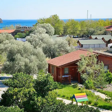 Pensjonat Hayitbuku Ahsapevleri *