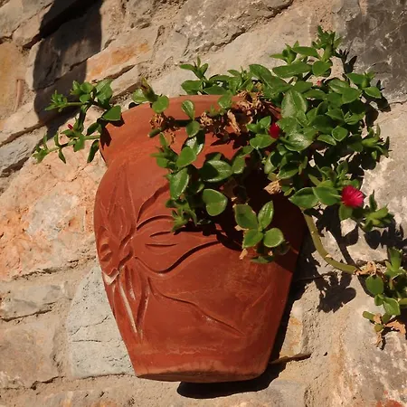 Pensjonat Hayitbuku Ahsapevleri