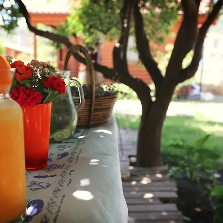 Hayitbuku Ahsapevleri Pensjonat