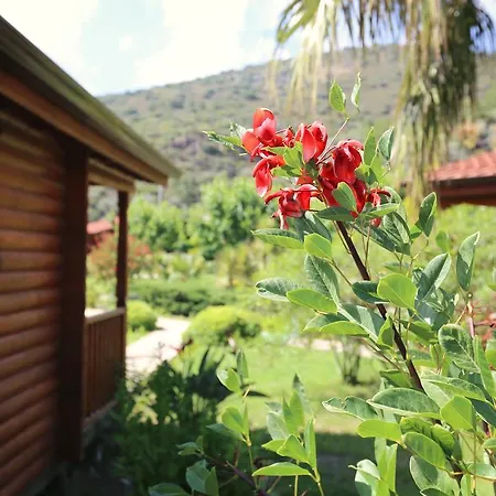 Pensjonat Hayitbuku Ahsapevleri Mesudiye (Datca)