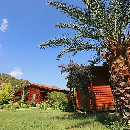 Pensjonat Hayitbuku Ahsapevleri *