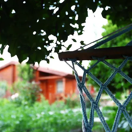 Hayitbuku Ahsapevleri