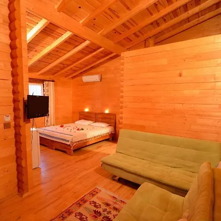 Pensjonat Hayitbuku Ahsapevleri *