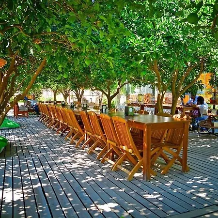 Hayitbuku Ahsapevleri Pensjonat Mesudiye (Datca)